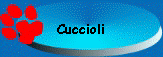 Cuccioli